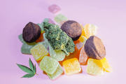 Mushroom Gummies & Edibles – What’s Behind the Trend?