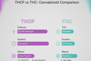 What Is THCP? The Strongest Cannabinoid Explained